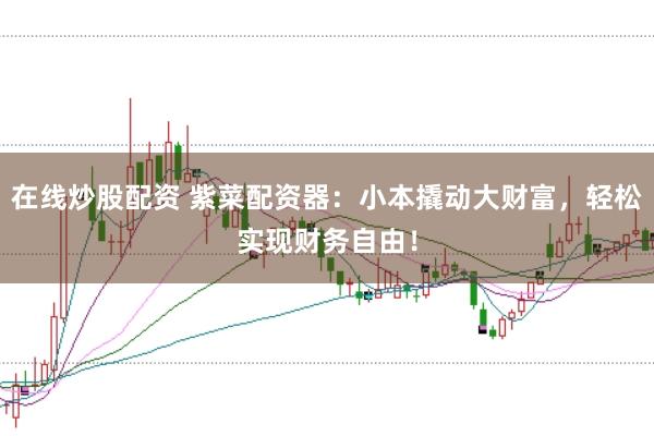 在线炒股配资 紫菜配资器：小本撬动大财富，轻松实现财务自由！